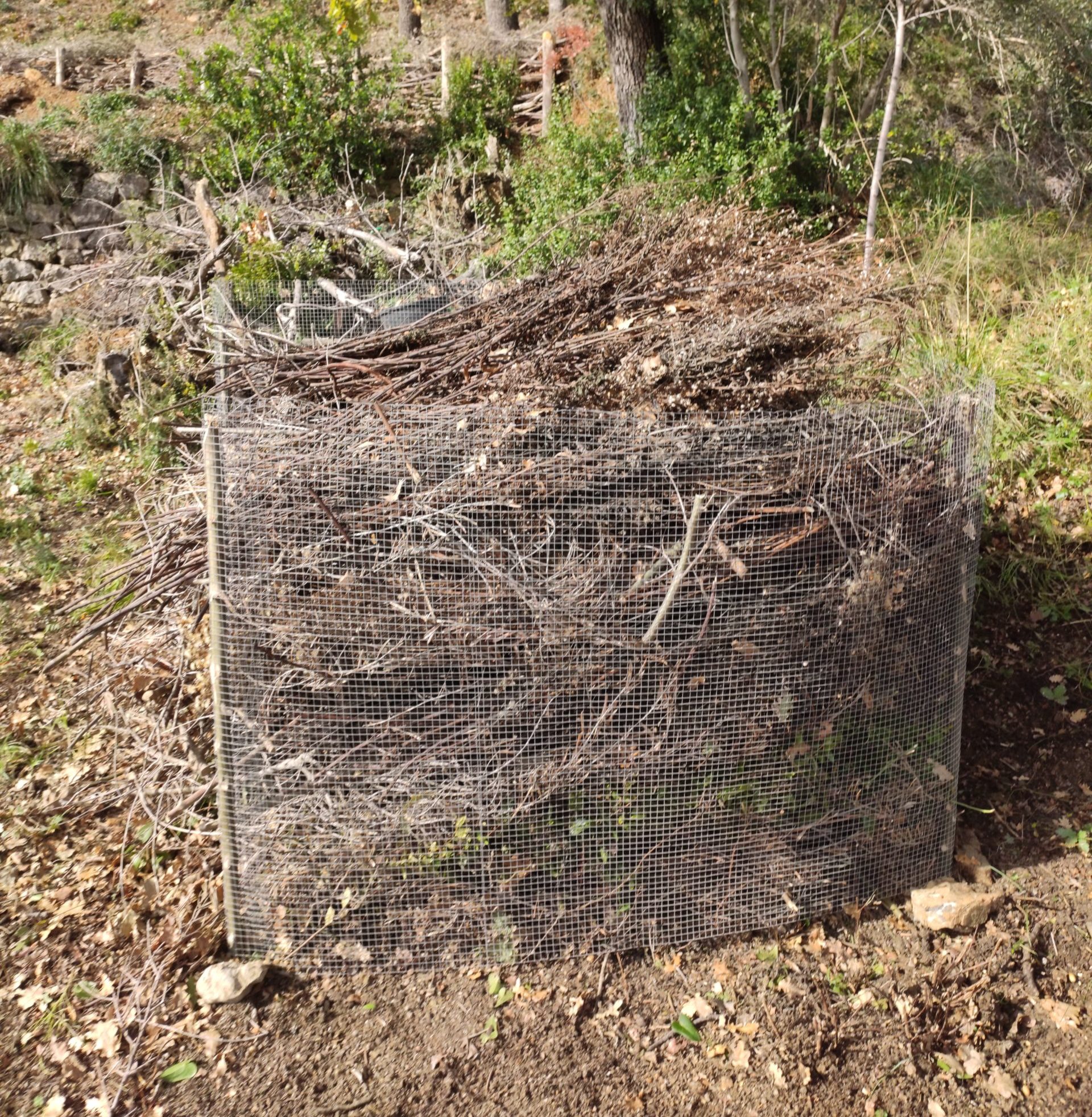 Viaggio al centro del compost